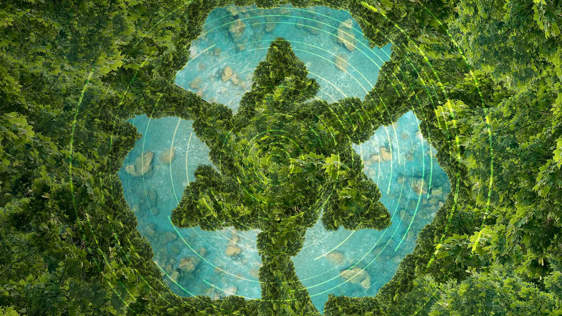 sustainability